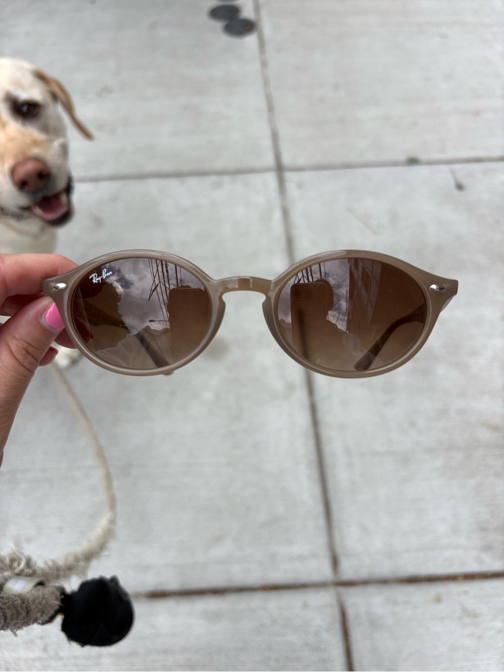 Ray-Ban Round Sunglasses in Taupe Frame with Brown Lenses